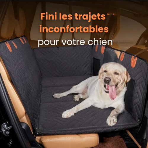 Housse de Transport pour Chien